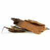 Ecorce de Palmier Naturelle