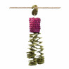 Anapiñata Large - Jouet Perroquet