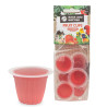 Fruit Cups - Gelée au Fruit Parfum Fraise - Lot de 6 Pièces
