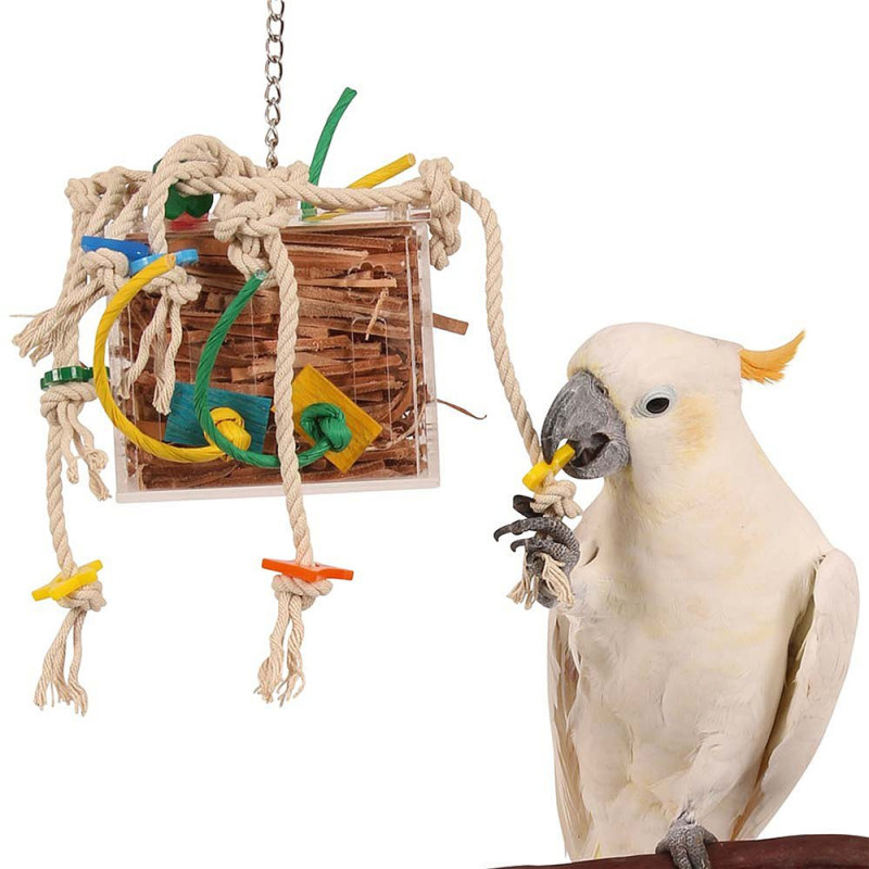 Zoo-Max - Boîte de Cuir en Folie Small - Jouet perroquet