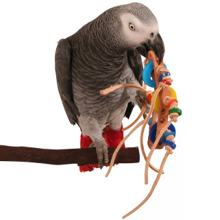 Zoo-Max - Rollicking - Jouet Oiseaux