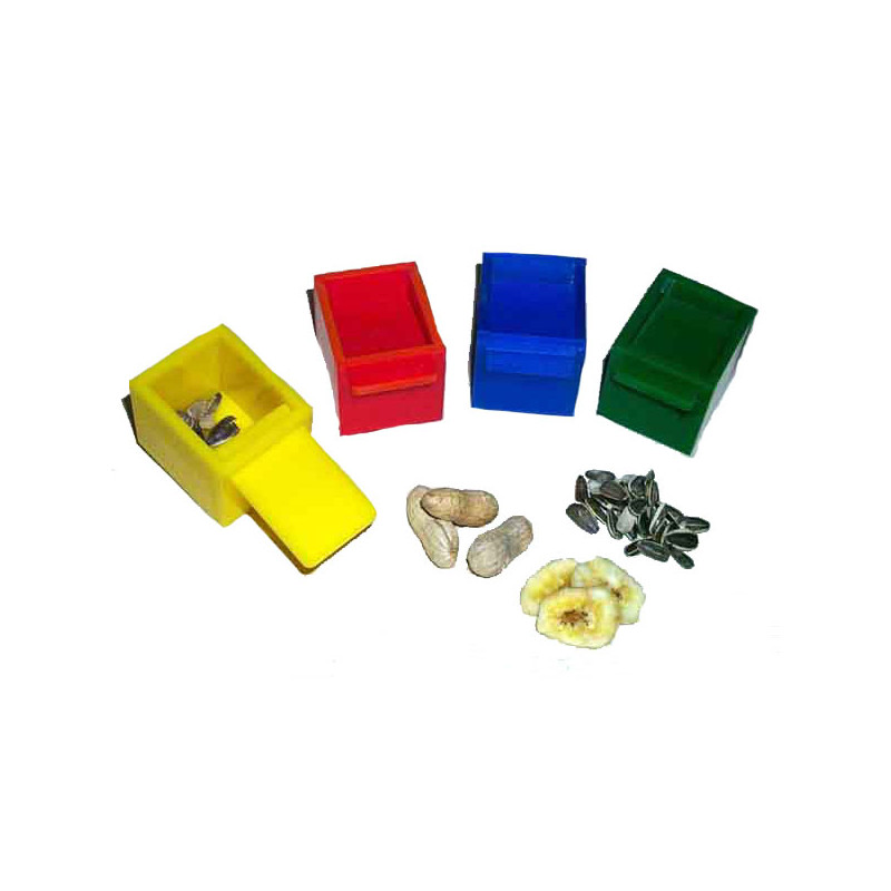 Zoo-Max - Les Cubes - Jouet Perroquet