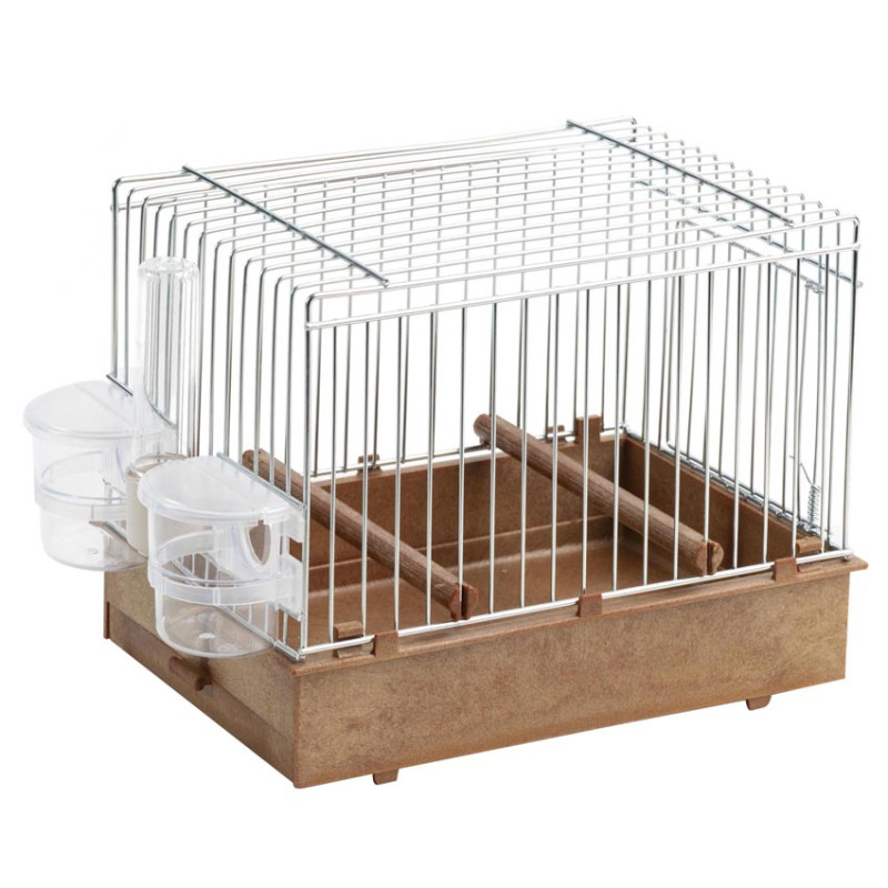 Cage d'Exposition pour Oiseaux de Chant