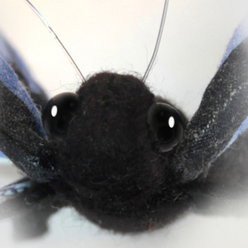Hansa - Peluche de Collection Papillon Bleu - 13 cm