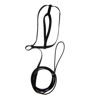Harnais Perroquet AVIATOR - Extra Large