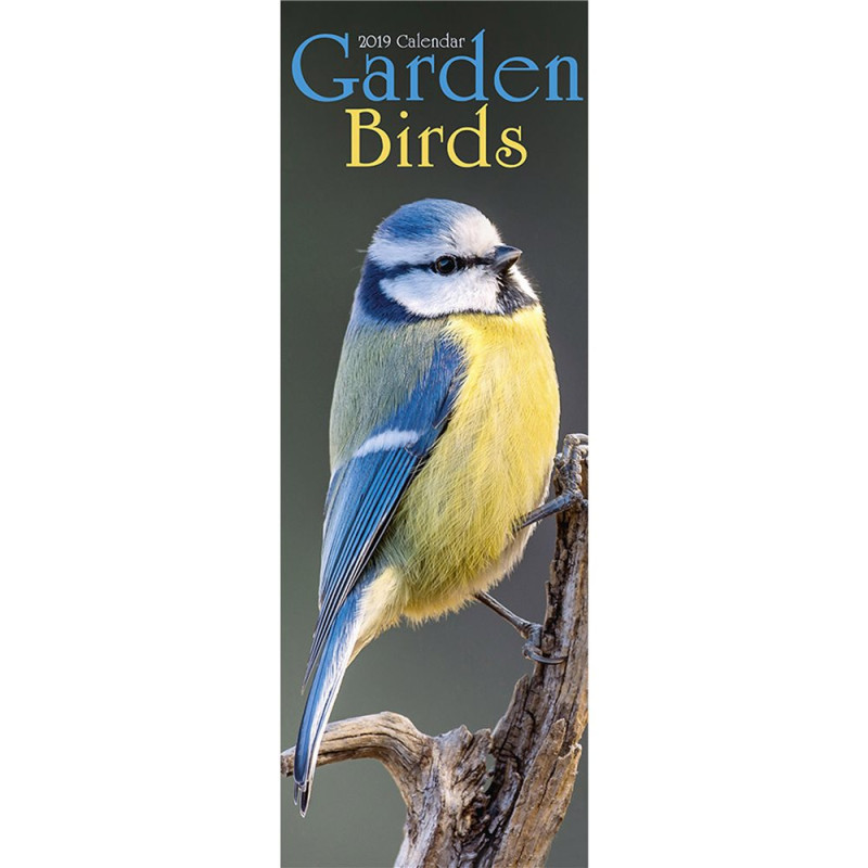 Calendrier 2019 - Les Oiseaux de la Nature - Format Slim Calendrier 2019 - Les Oiseaux de la Nature - Format Slim