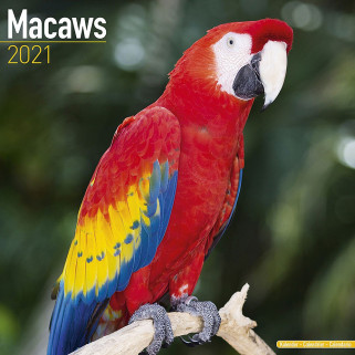 Calendrier 2021 - Les Aras