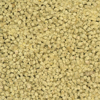Beaphar - Granulés Care + pour Perroquets et Cacatoès - 1 kg