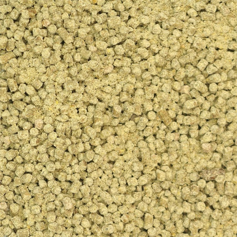 Beaphar - Granulés Care + pour Perroquets et Cacatoès - 1 kg