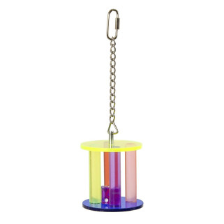 Dice Toy - Jouet Perroquet