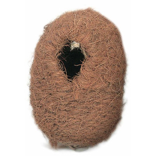 Nid en Osier Garni de Fibre de Coco pour Grands Exotiques