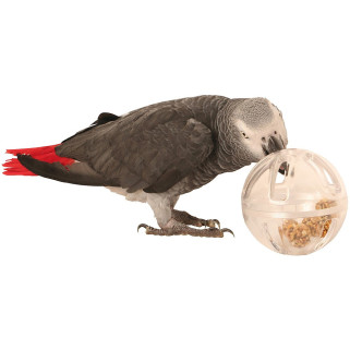 Balle de Foraging - Distributeur Alimentaire pour Perroquet