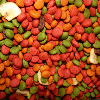 Extrudés Grain'ailes pour Perroquets avec Fruits Secs - Vrac 10 kg (Reconditionné par nos soins)