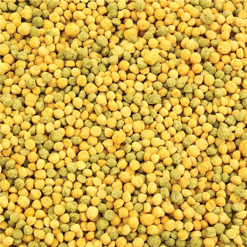 Offre Spéciale DLC - Hagen - Granulés Tropican 4mm - 820 gr - Lifetime Formula pour Perroquet