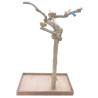 Arbre en Bois de Java - Taille Large - BL 62615