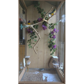 Branche en Bois de Java pour Petite et Grande Perruche - Small