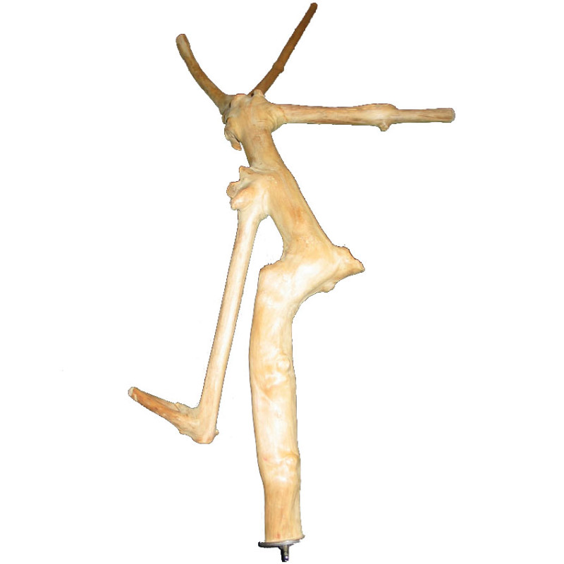 Branche en Bois de Java pour Oiseaux - Mini Branche en Bois de Java pour Oiseaux - Mini