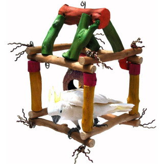 Cube Java Jumbo - Aire de Jeu Suspendue Grand Perroquet