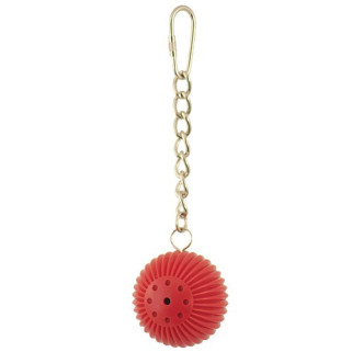 Birdy Babble Ball - Jouet Interactif pour Perroquet