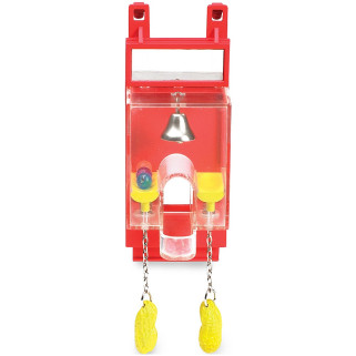 Mini Flipper Cacahuète - Jouet Perruche