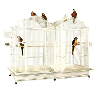 Cage Perroquet KING'S CAGES - Modèle 506 Duo Ivoire
