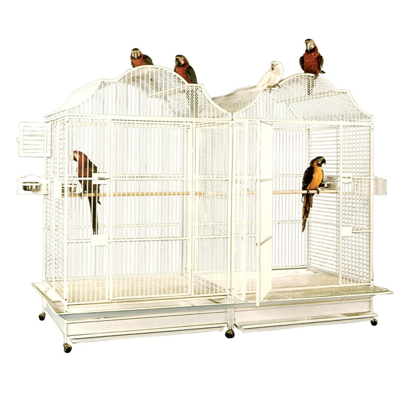 Cage Perroquet KING'S CAGES - Modèle 506 Duo Ivoire