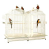 Cage Perroquet KING'S CAGES - Modèle 506 Duo Ivoire