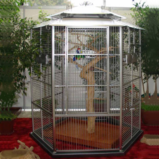 Cage Inox Perroquet KING'S CAGES - Modèle 605 Inox