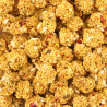 Lafeber - Nutri-Berries El Paso 1,36kg - Repas Complet pour Perroquets