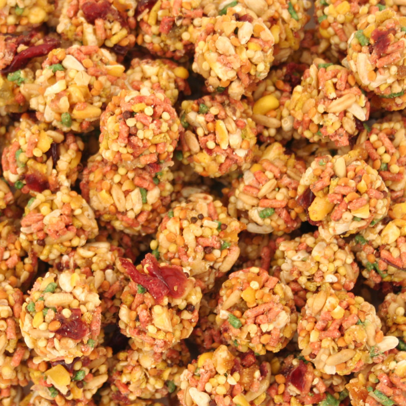 Lafeber - Nutri-Berries Sunny Orchard 1,36 kg - Repas Complet pour Perroquets