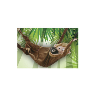 Marshall - Jouet Cachette à Suspendre "Monkey Hamac" pour Furet