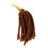 Millet Rouge en Grappes Français (Anjou) - 1 kg