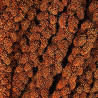 Millet Rouge en Grappes Français (Anjou) - 1 kg