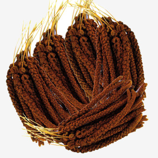 Millet Rouge en Grappes Français (Anjou) - 5 kg