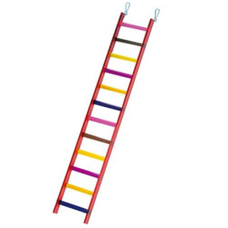 Échelle Acrylique pour Perruche - 12 Marches