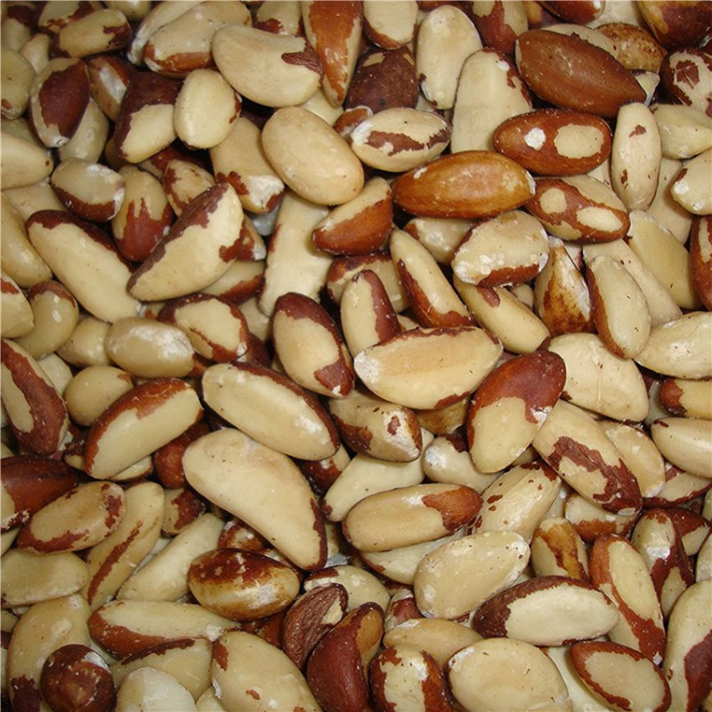 Noix du Brésil Ecalée - 200 gr Noix du Brésil Ecalée - 200 gr