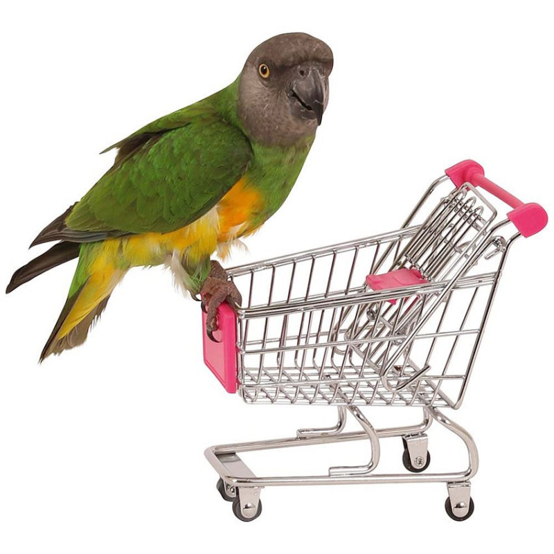 Shopping Caddie Chariot de Courses pour Perroquets - Jouet Perroquet
