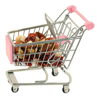 Shopping Caddie Chariot de Courses pour Perroquets - Jouet Perroquet