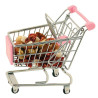Shopping Caddie Chariot de Courses pour Perroquets - Jouet Perroquet
