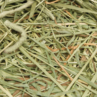 Oxbow - Western Timothy - Foin de Phléole des Prés - 2,55 kg