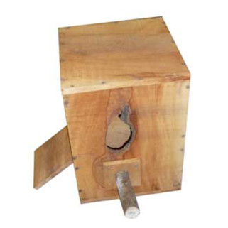 Nid en Platane Vertical pour Grandes Perruches / Petits Perroquets 30 x 30 x 50 cm