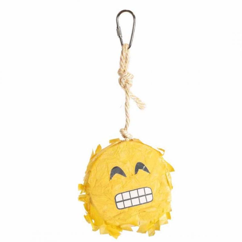 Petit Smiley - Jouet Perruche