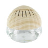 Revitalisor Coquillage - Purificateur et Humidificateur d'Air