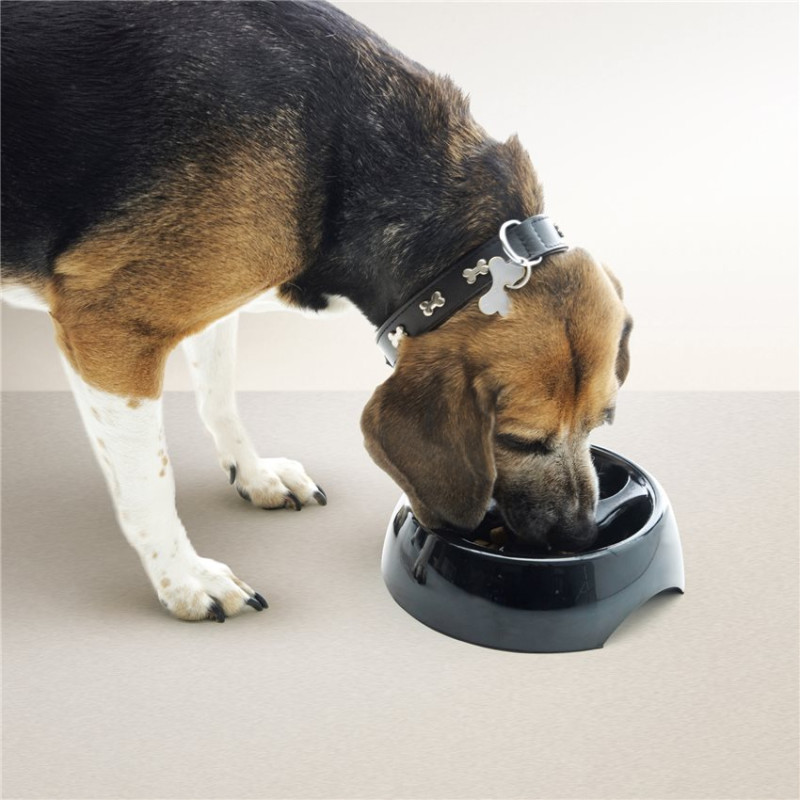 Gamelle Anti Glouton pour Chien Slow Down Ø 18 cm