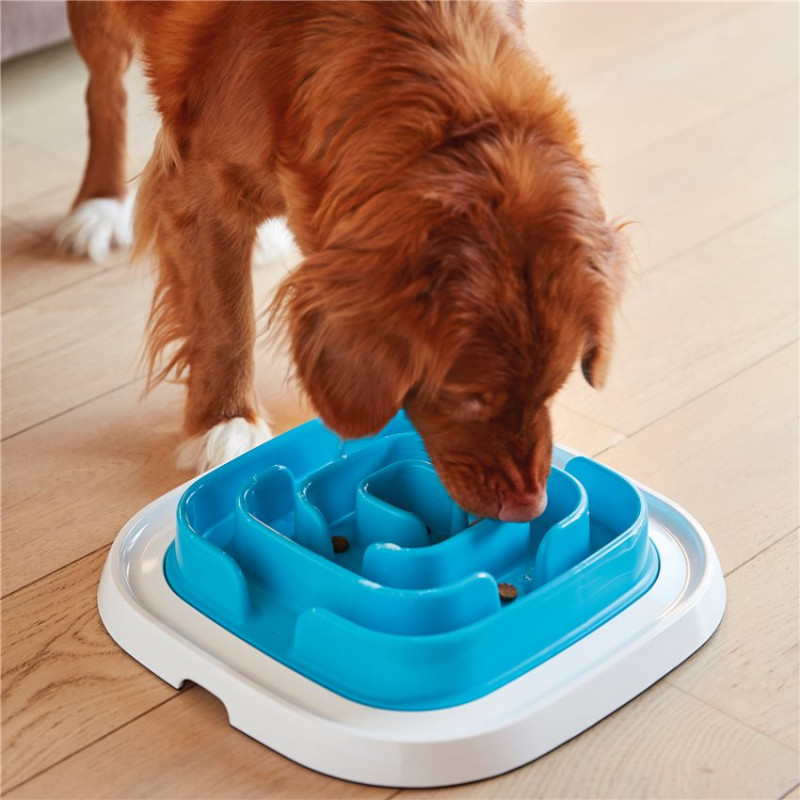 Jouet de Foraging pour Chat ou Chien Pet Enigma Large Bleu - Level 2