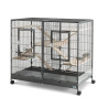 Savic - Kit Plateforme et Echelle Bois pour Cage Tasmania 120