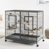 Savic - Kit Plateforme et Echelle Bois pour Cage Tasmania 120