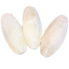 Os de Seiche - Grande Taille - 2 kg
