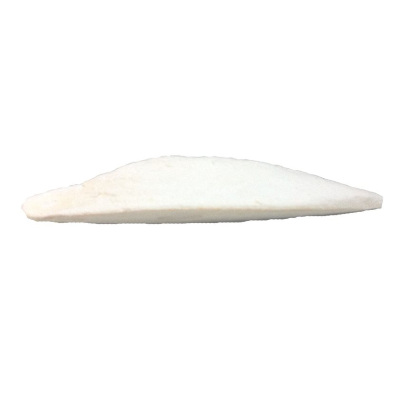 Os de Seiche - Grande Taille - 1 pièce