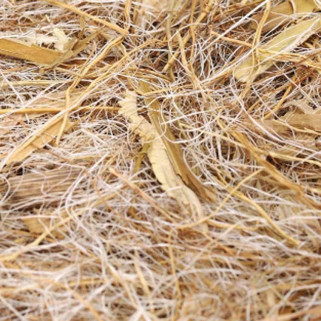 Mélange de Fibre Naturelles pour Nid : Coco + Sisal + Tiges Naturelles de Maïs -  500 gr